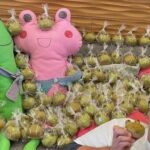 【ひたちなか市】鈴木建装・感謝祭へのご来場ありがとうございました!