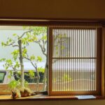 猫の脱走防止扉が有効な理由|玄関・窓・階段に設置するメリットとは?