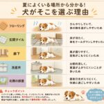 犬が夏に床で寝る理由とは?|猛暑でも快適な平屋づくり