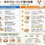 愛犬が滑って心配…|足腰を守るためにできること&オススメの床対策